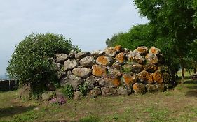 Agriturismo Nuragh'Elighe